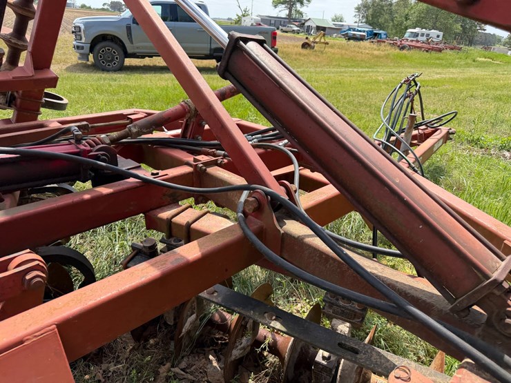 sunflower-1233-32-image-55