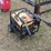 #1109-dewalt-dg7000-generator-has-30a-120vac-2-20a-image-2