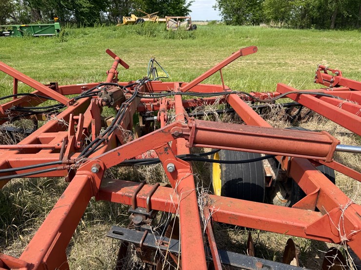 sunflower-1233-27-image-29