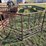 #546-•-round-bale-feeder-image-2