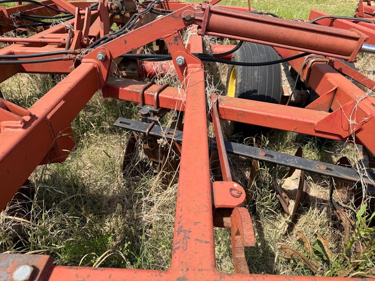 sunflower-1233-27-image-28