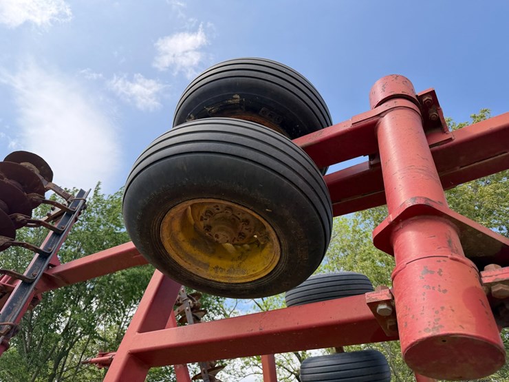 sunflower-1233-32-image-10