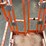 #433-•-2023-snorkel-19'-scissor-lift-image-25