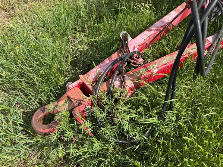 sunflower-1234-image-47