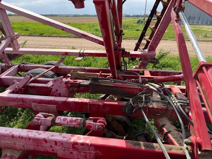 sunflower-1234-image-60