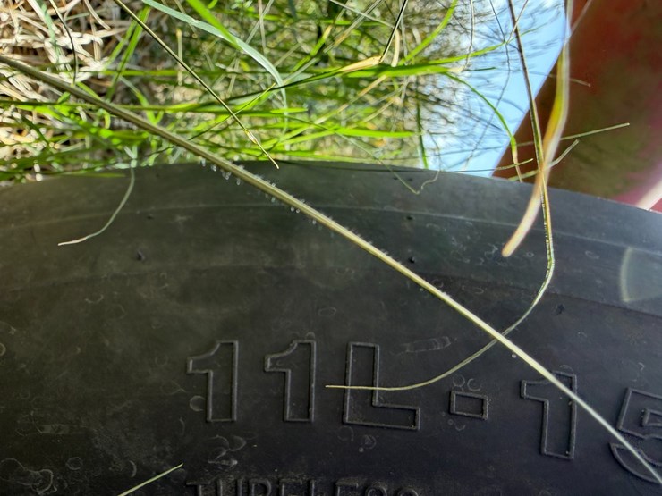 sunflower-1233-27-image-8