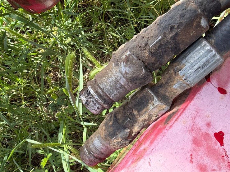 sunflower-1234-image-51