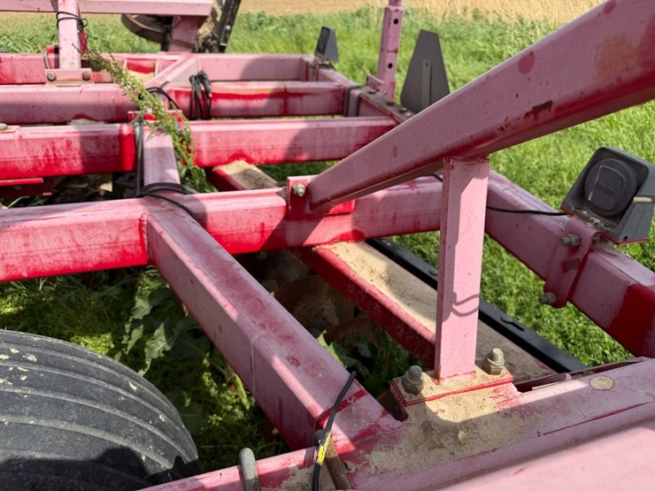 sunflower-1234-image-33