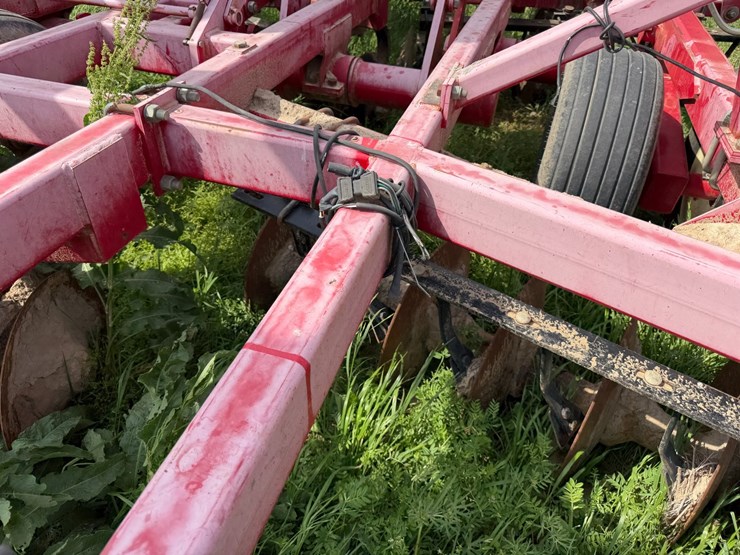 sunflower-1234-image-23