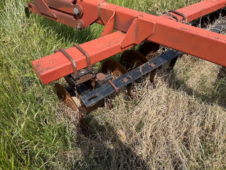 sunflower-1233-27-image-43