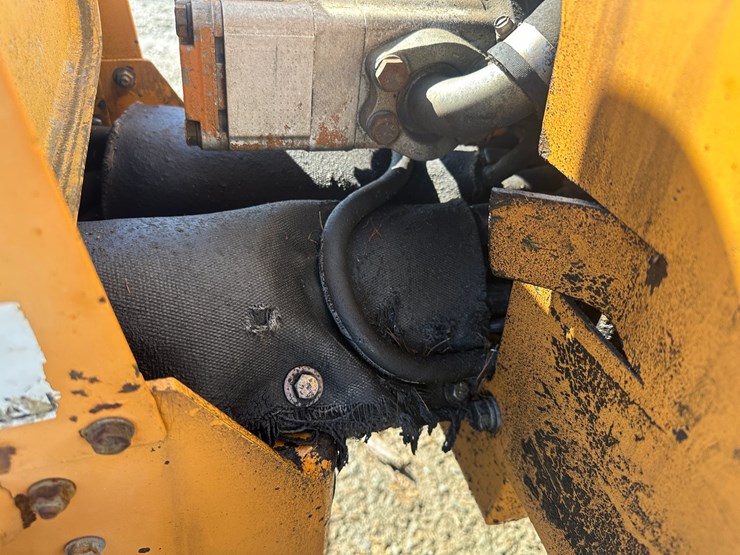 case-maxi-sneaker-image-32