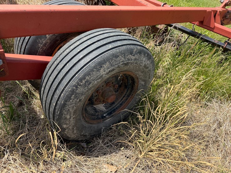 sunflower-1233-27-image-16