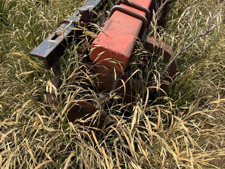 sunflower-1233-27-image-21