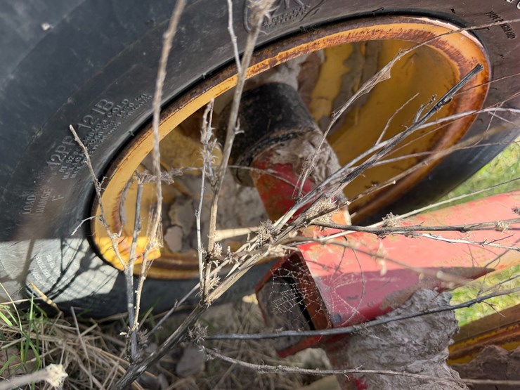 sunflower-1233-27-image-7