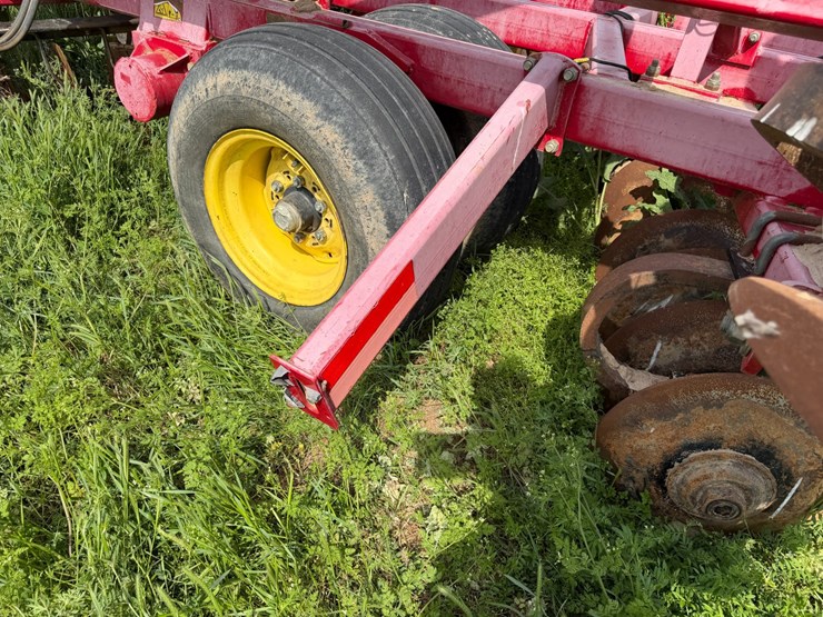 sunflower-1234-image-31