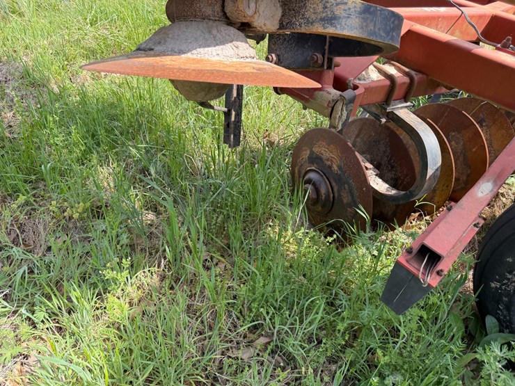 sunflower-1233-32-image-15