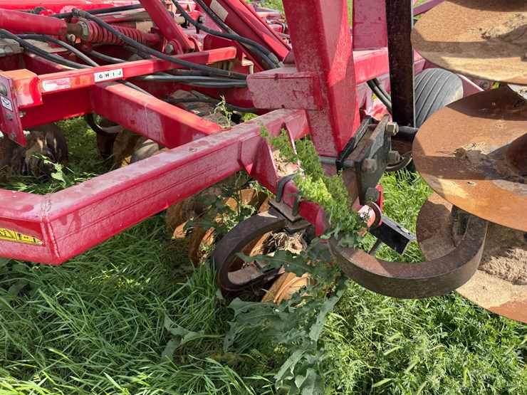 sunflower-1234-image-40