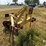 #45275-•-allen-manufacturing-2-blade-levee-ditcher-image-2