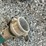 #108-•-champion-2-inch-semi-trash-water-pump-image-19