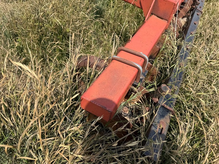 sunflower-1233-27-image-38