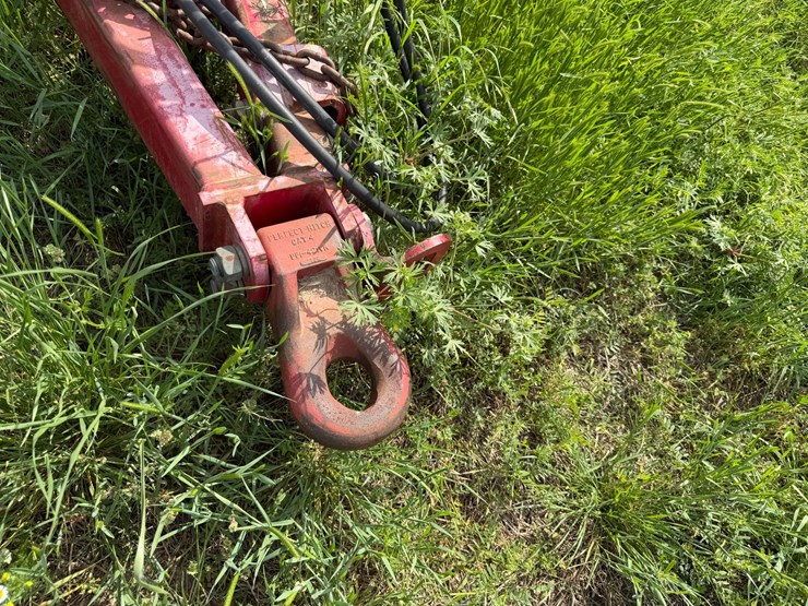 sunflower-1234-image-48