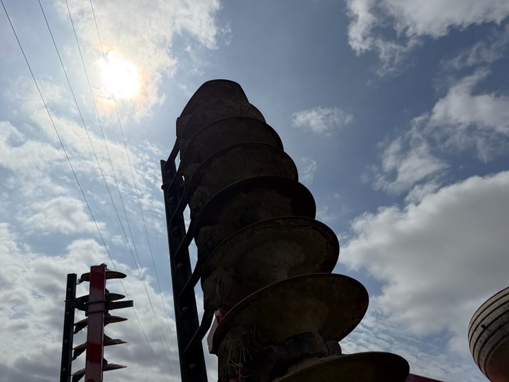 sunflower-1234-image-19