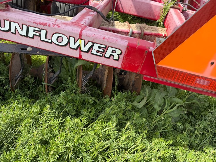 sunflower-1234-image-26