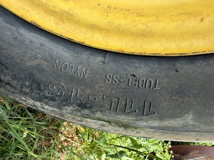 sunflower-1234-image-5