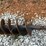 #164-•-earth-auger-bit-image-1