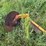 #45308-•-amco-water-furrow-plow-image-9