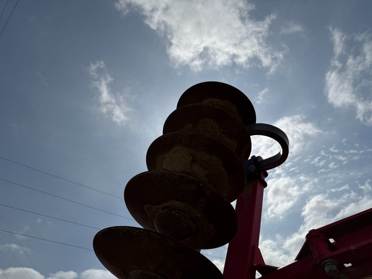 sunflower-1234-image-58