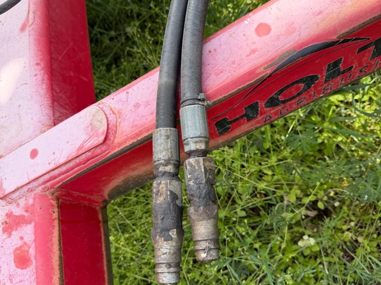 sunflower-1234-image-52