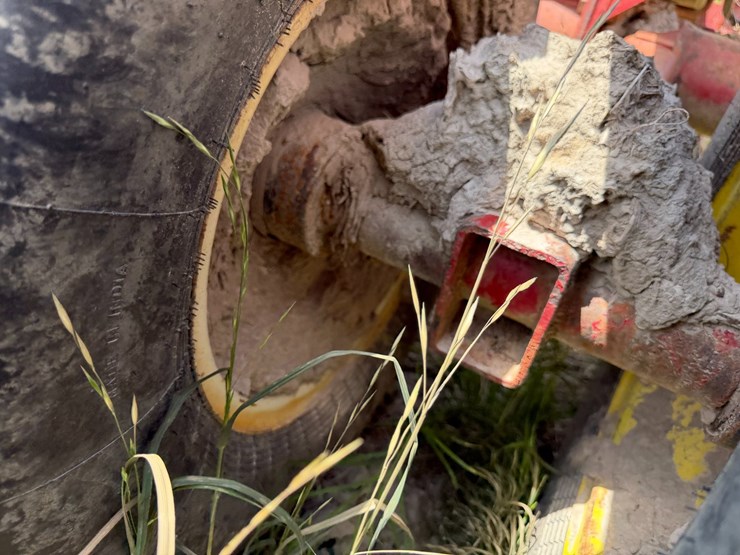 sunflower-1233-27-image-11