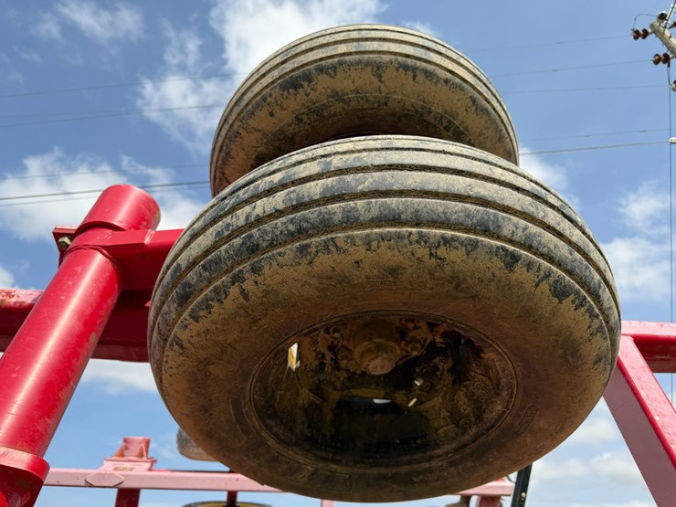 sunflower-1234-image-10