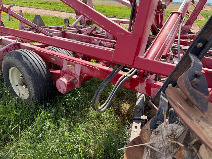 sunflower-1234-image-59