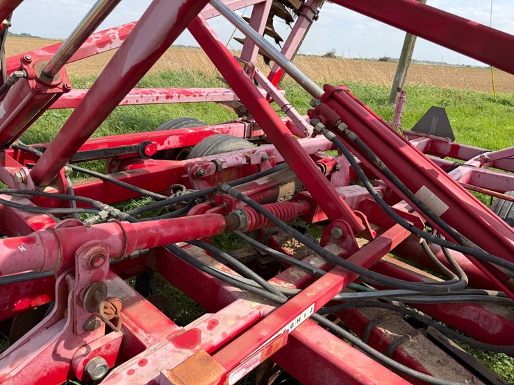 sunflower-1234-image-43