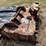 #5517-•-denis-cimaf-excavator-drum-mulcher-attachment-image-7
