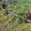 #45301-•-water-furrow-plow-image-1