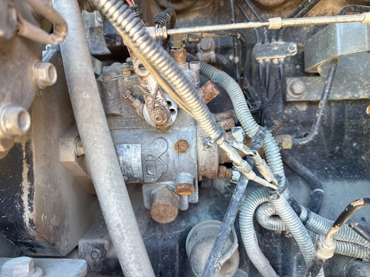 elgin-pelican-image-34