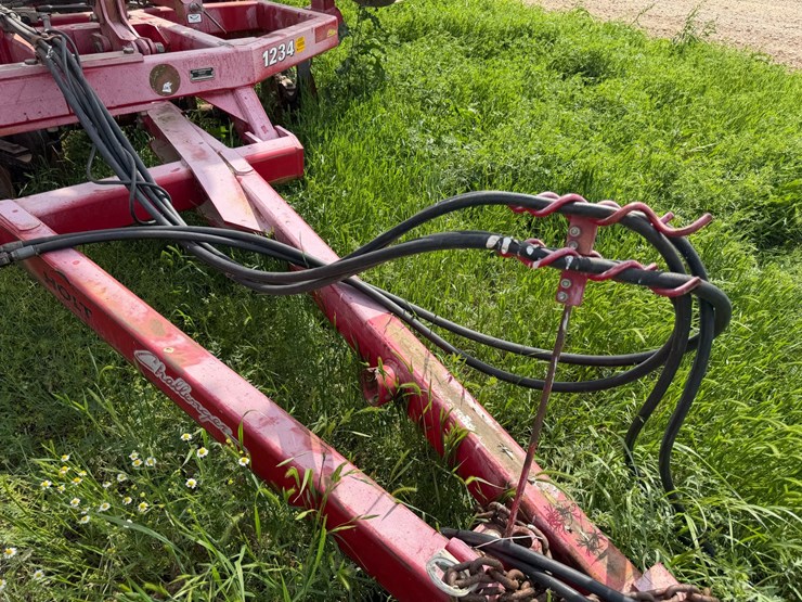 sunflower-1234-image-49