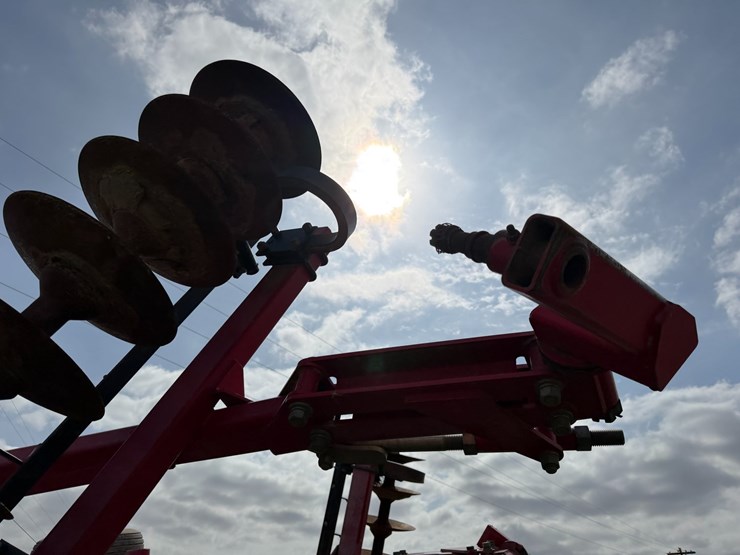 sunflower-1234-image-12