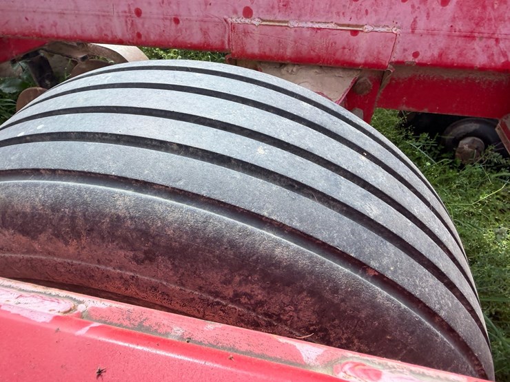 sunflower-1234-image-15