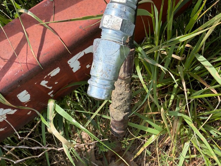 sunflower-1233-27-image-58