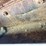 ford-9n-image-25