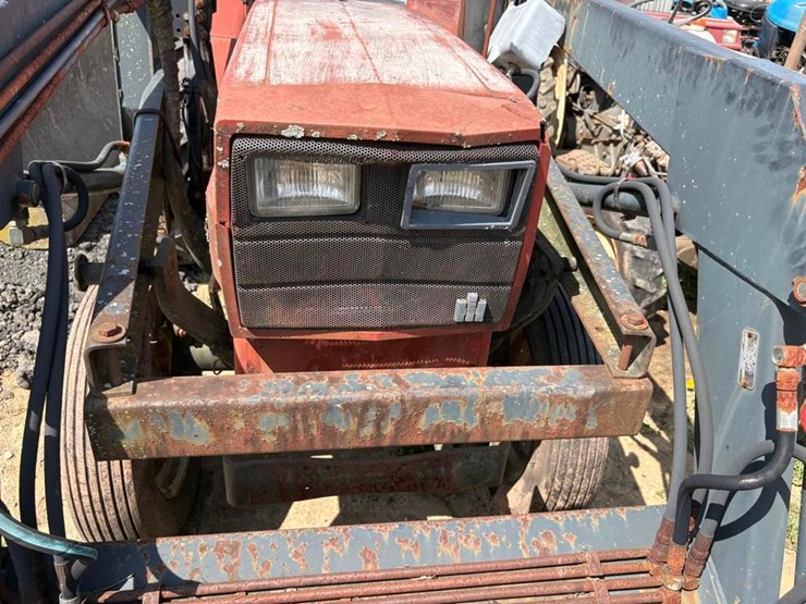 international-254-image-20