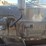 2021-polaris-pro-xd-diesel-image-12