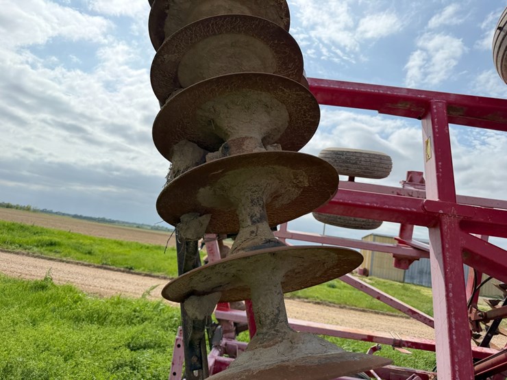 sunflower-1234-image-18