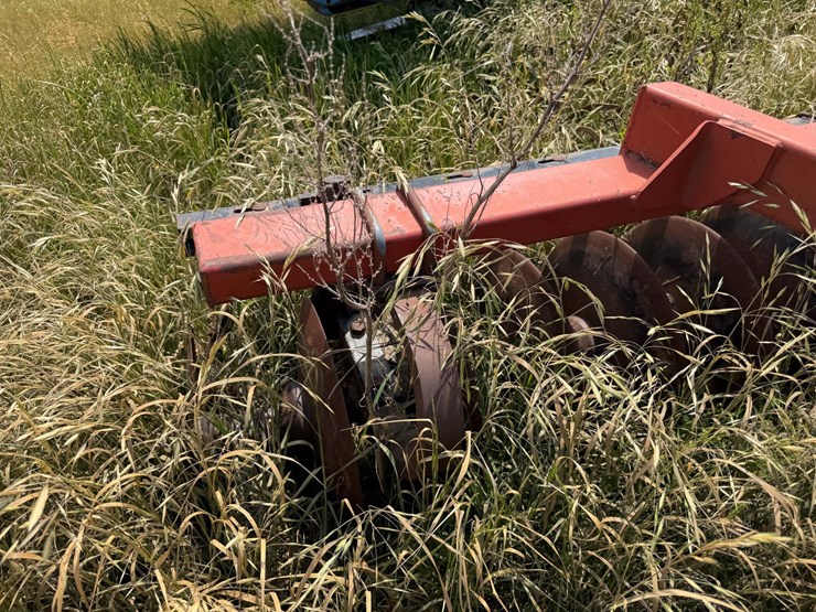 sunflower-1233-27-image-20