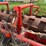 #45280-•-fair-oaks-mfg-20'-stubble-roller-image-14