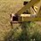 #45275-•-allen-manufacturing-2-blade-levee-ditcher-image-9